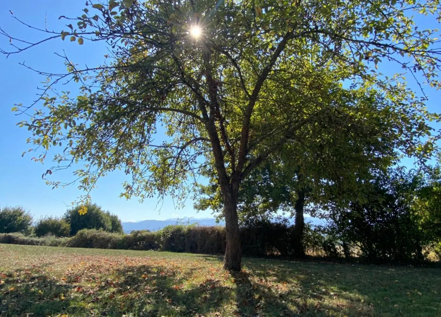 La Maison Des 3 Chouettes Sepx Holiday home